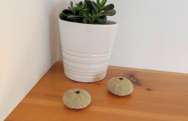 Loft Casa Burgao - Foto 5