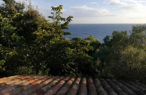 Maison Cecile - Foto 33