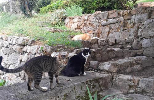 Gîte MANDRA chez gîtes QUE CANTA - Photo 48