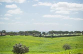 Costa Vicentina cottage with a view - Foto 30