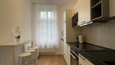 LUCKY STAYS LS07 - Vollausstattung - Zentrum - Aufzug - große Küche - 2 Zimmer - Smart-TV - Foto 4, stove, pet friendly, minibar