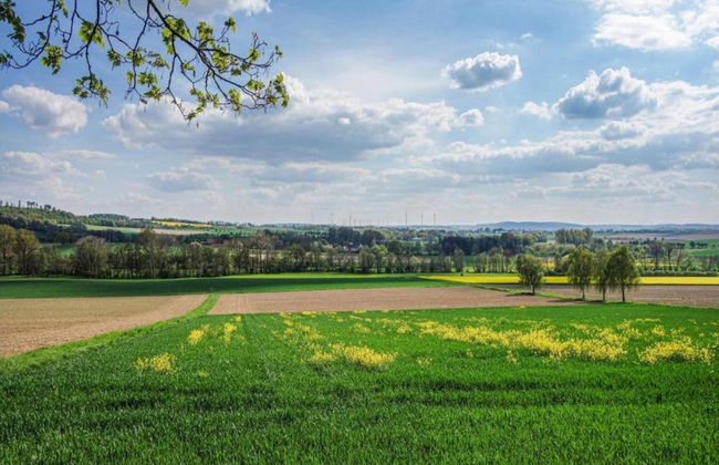 Holiday Home in Germany With Garden Terrace - Foto 19