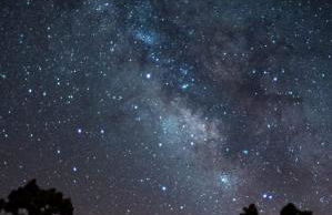 La Palma Wild Life - Foto 31