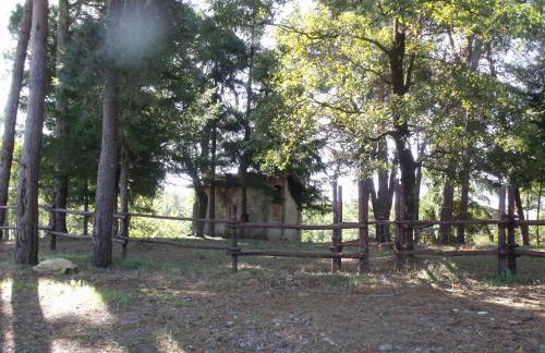 Agriturismo Podere Montese - Foto 84