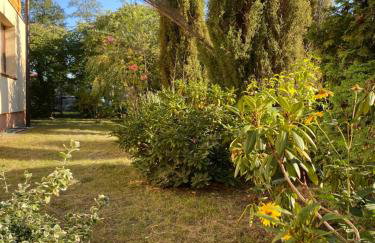 Maciejówka Gospodarstwo Agroturystyczne - Foto 28