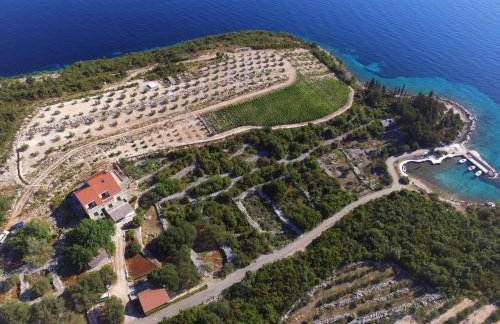 Apartman Kneže - Foto 6