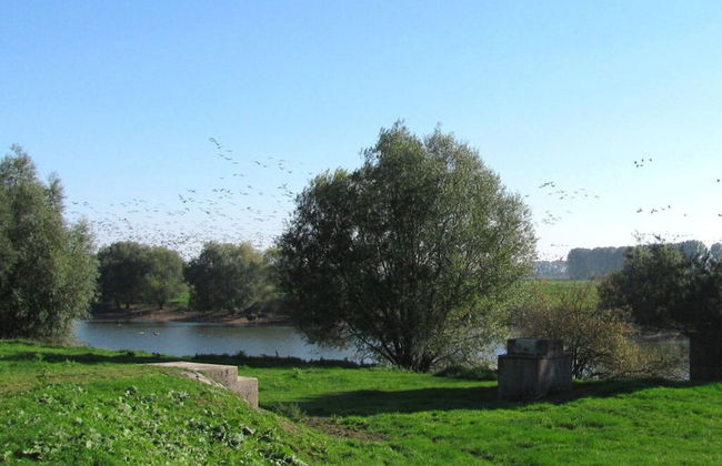 "Am Ahornweg" Modern Retreat - Photo 23