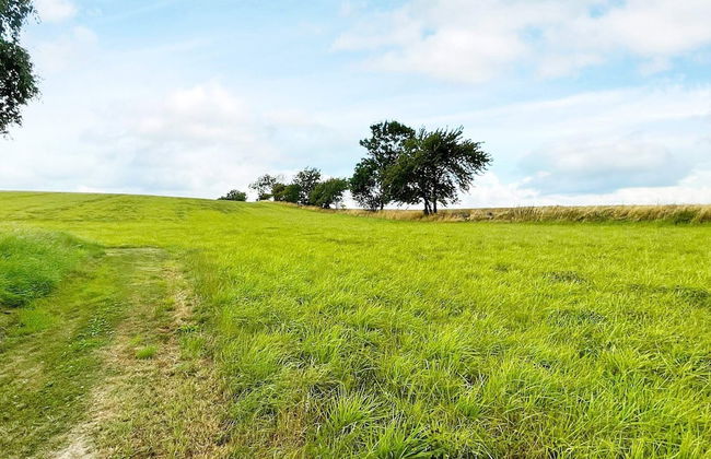 4 Person Holiday Home in Ystad-by Traum - Foto 13