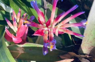 Summer Sands Lodge Unit 2 - Photo 6