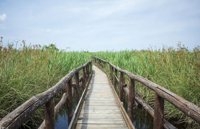 The Gargoyles - Foto 35