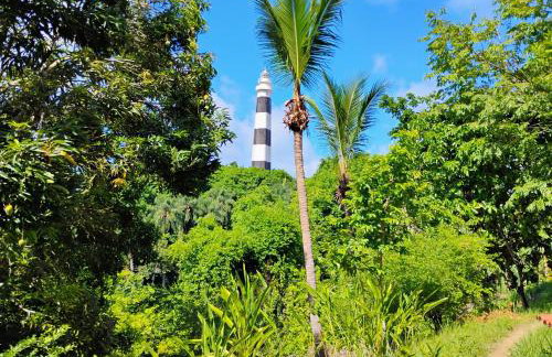 Olinda sítio Histórico Alto da Sé - Foto 59