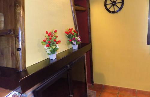 Fuente Del Gamellon - Foto 11