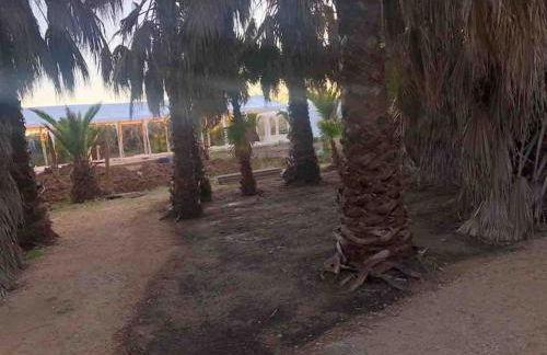 CASA RURAL EN BOSQUE DE PALMERAS - Foto 21