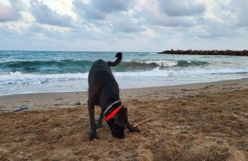 Casa Dora Puzol playa - Photo 17