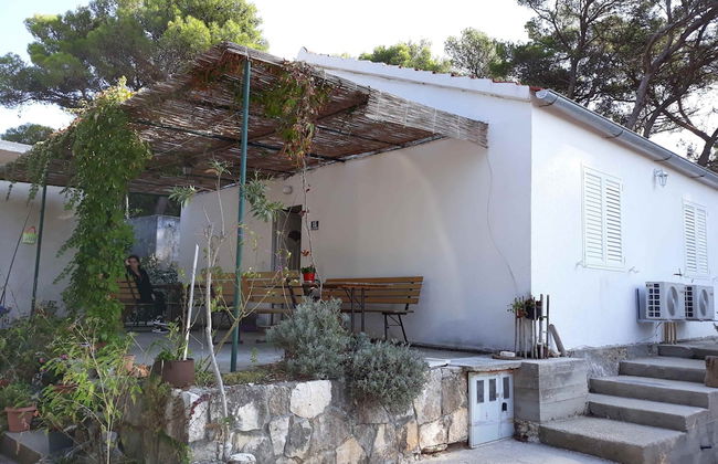 Apartments Limuni - Foto 48