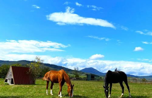L'Etoile du Vignoble Meublé de Tourisme 4 étoiles au cœur d'un ranch alsacien sur la route des Vins - Climatisé - Foto 4