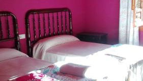 Ala Mexicana - Foto 3