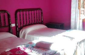 Ala Mexicana - Foto 3