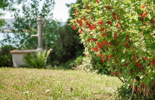 Lakeside Apartment - Seeufer Apartment - Foto 18