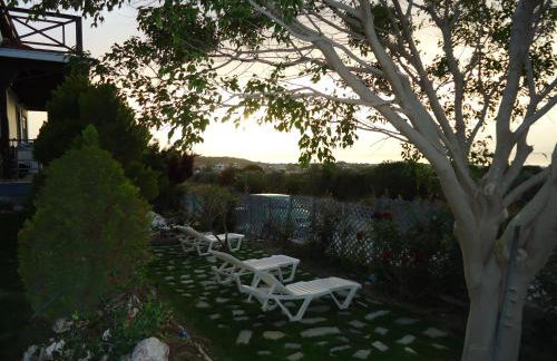 Alexandra Homestay - Foto 70