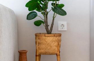 Palmotić Heritage Suites - Main Square - Free Parking - Foto 33