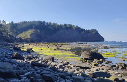 Apartamentos Iparagirre - Foto 18