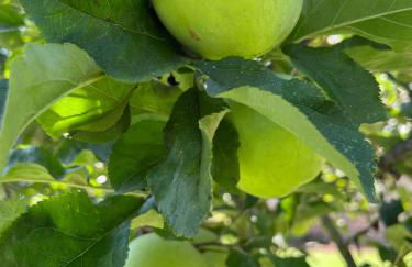 Villa Marta loft diáfano con jardín y aparcamiento en Villa histórica - Foto 27