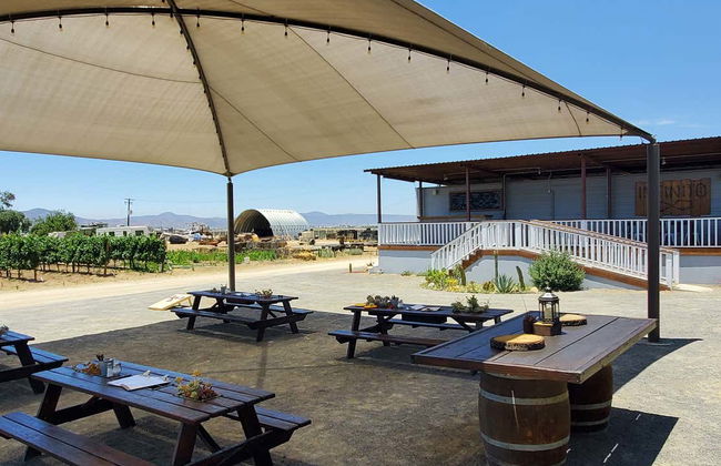 Ensenada Wine & Cheese Tasting - Foto 6