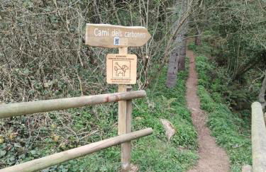 Ca la Pauleta - Foto 58