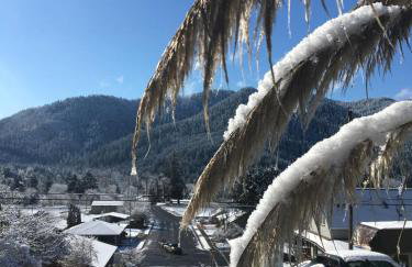 Panoramic View 2br on Hill in Uptown Oakridge - Foto 27