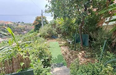 Granny House Madeira - Foto 12