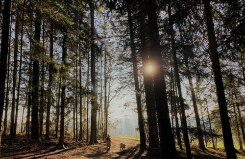 Feriendorf Büchelberg - Foto 45