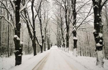 Ostoja Stacze - Foto 70