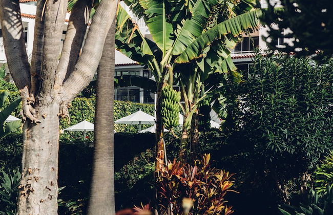 Route Active Hotel - Foto 58