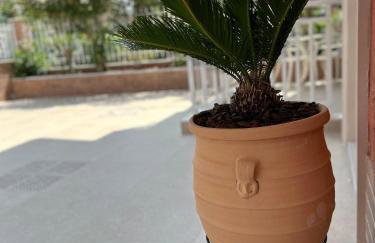 Orea Boutique Studios - Photo 28