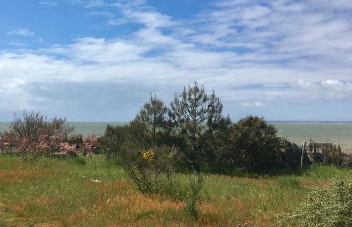 Grande maison face à l'océan - Photo 25