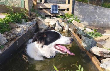 Casa Pinocchio - Foto 6