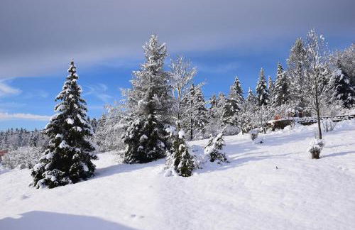 Les Gîtes Du Pré Nouveau - Foto 31