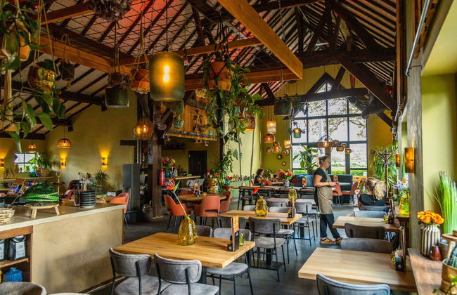 2 bedroom House in Gulpen with swimming pool and terrace - Photo 9