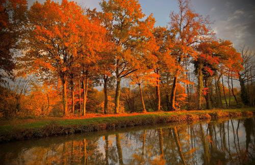 Magnifique péniche remorqueur à louer - Foto 56