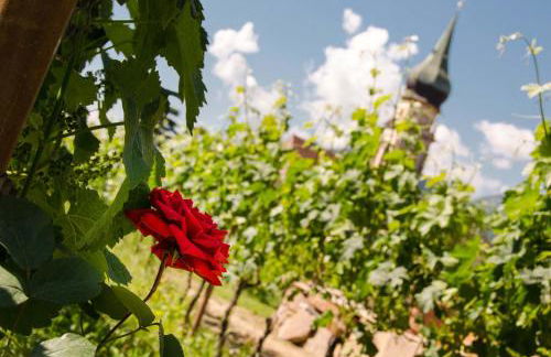 Weinangerhof St Pauls - Foto 16