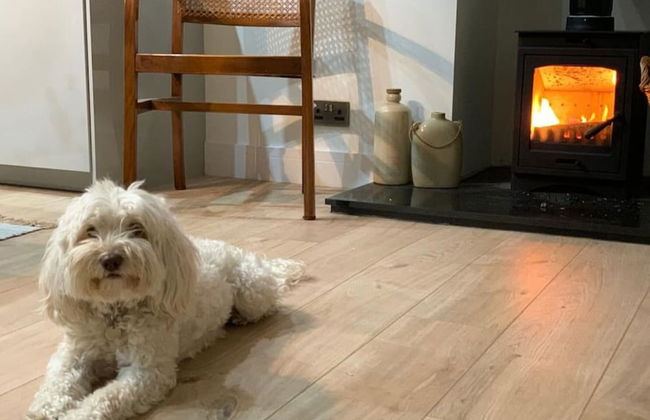 Woodview Cottage - Countryside Revive - Foto 18