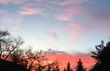 El Retiro de Isabel - Foto 62