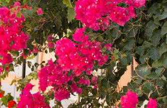 Aeolia apartments - Foto 9