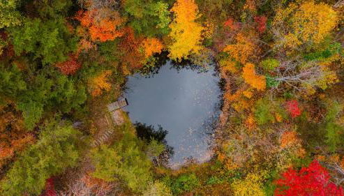 The 312 House - A Boho Retreat- Hocking Hills - Foto 3