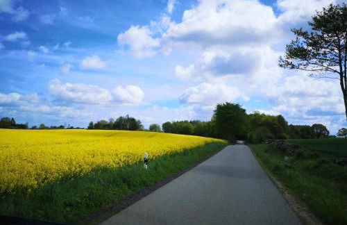 Fischerhus - Photo 12