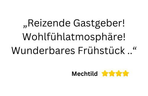 Coeurvert Calme en clairière - Ruhe in der Waldlichtung - Forest clearing stillness - Foto 70