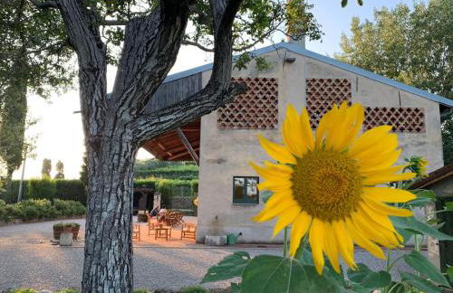 Domus Cariana - Foto 10