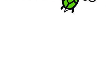 Chillkröte - Foto 1