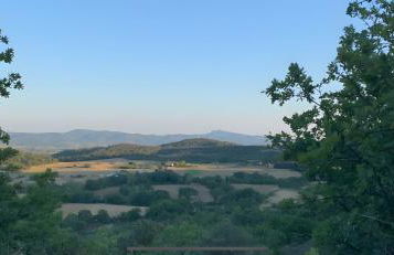 La Voûte Des Oliviers - Photo 19